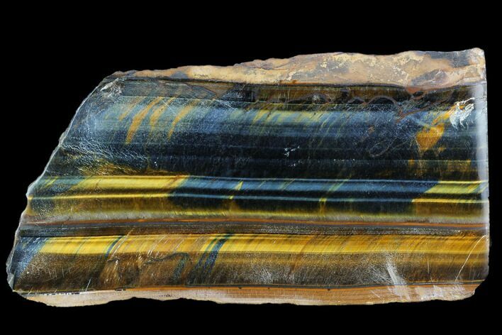 Polished Tiger's Eye Section - South Africa #128489
